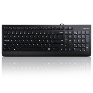 Lenovo 300 USB Keyboard - US English, Tip: Standard, Interfata